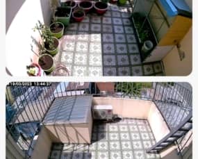 IMG 1695702531468 1695703800005