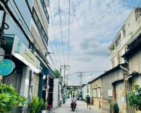 479 8 2 tan hoa dong 11