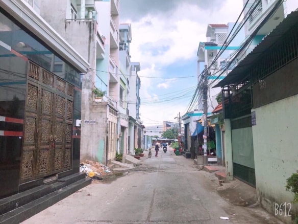 🏠 Nhà Ngõ Hẻm 919/9 Hương Lộ 2, Bình Trị Đông A, Bình Tân - Diện Tích 4.2x17m, Giá 4.4 Tỷ 18 919 9 huong lo 2 binh tan cap 4 3